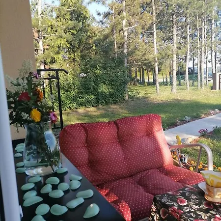 Diana Zlatibor