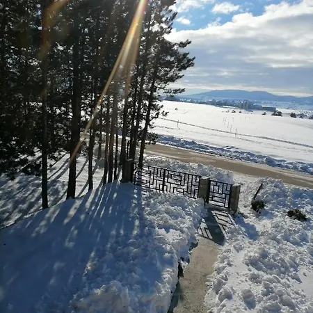 Diana * Zlatibor